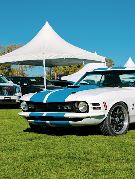 Coches